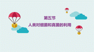 《人类对细菌和真菌的利用》课件.ppt