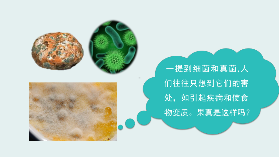 《人类对细菌和真菌的利用》课件.ppt_第3页