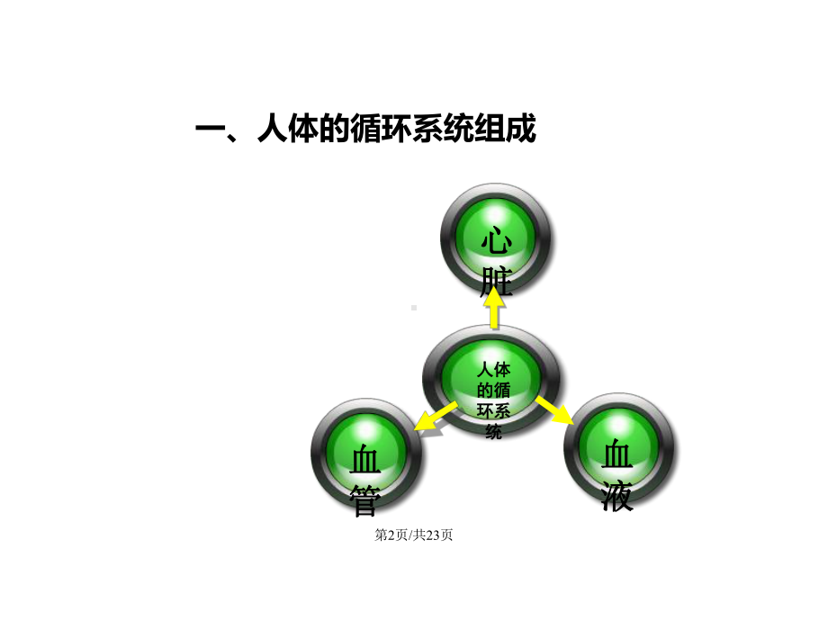 人体的循环系统学习教案.pptx_第3页