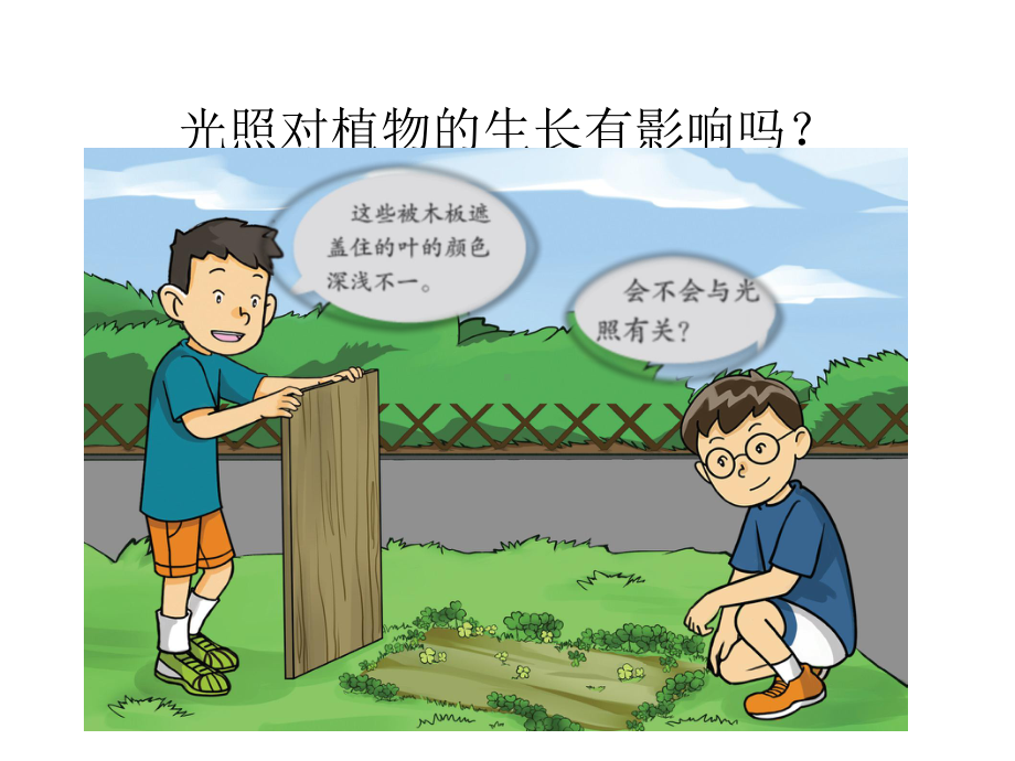 《植物需要阳光》实用课件粤教版小学1.pptx_第2页