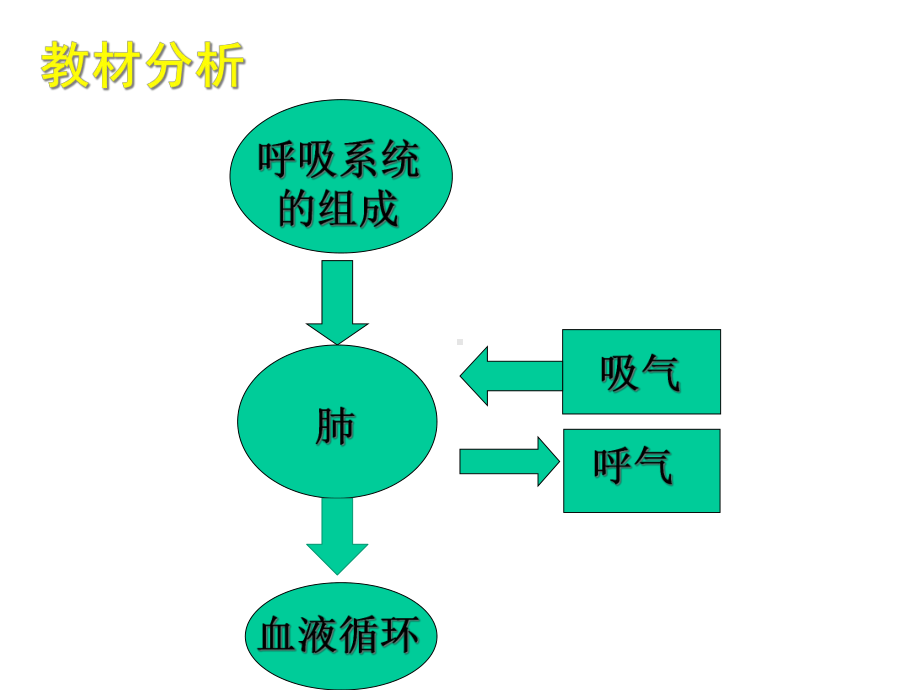 肺与外界的气体交换说课课件.ppt_第2页