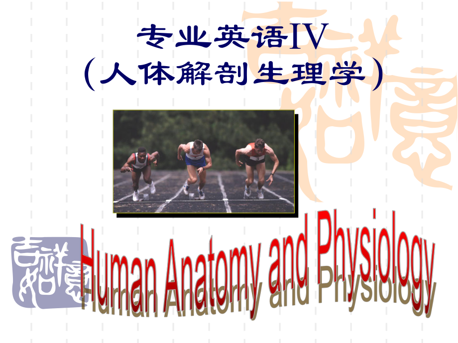 专业英语-人体解剖生理学.ppt_第1页