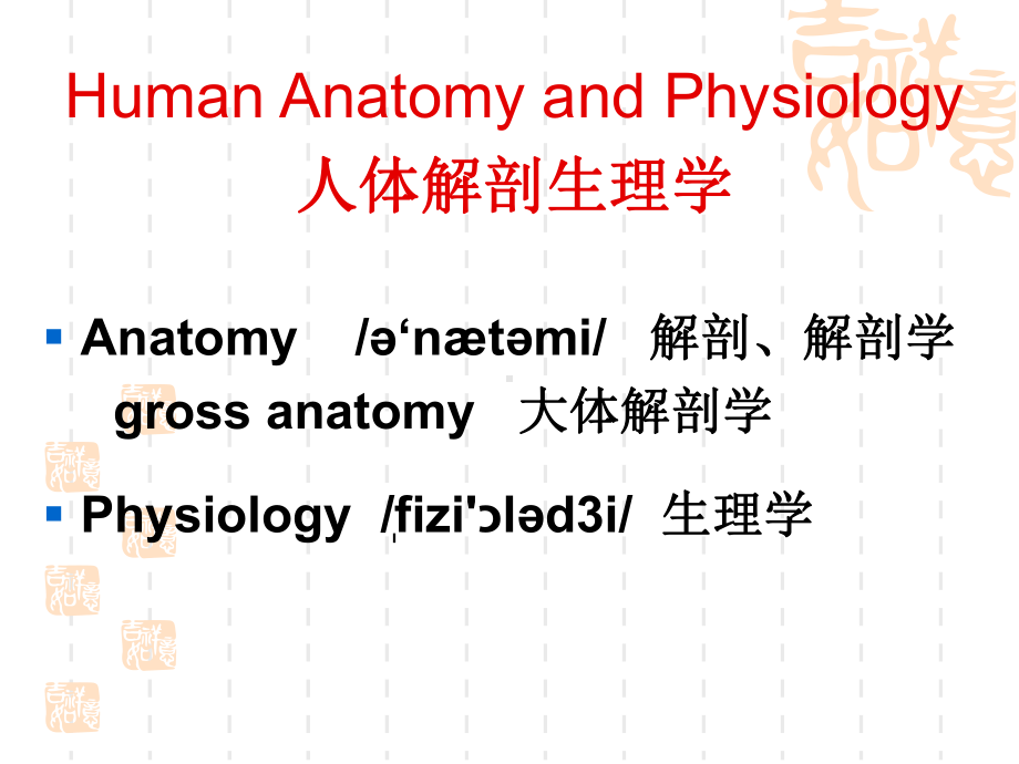 专业英语-人体解剖生理学.ppt_第3页