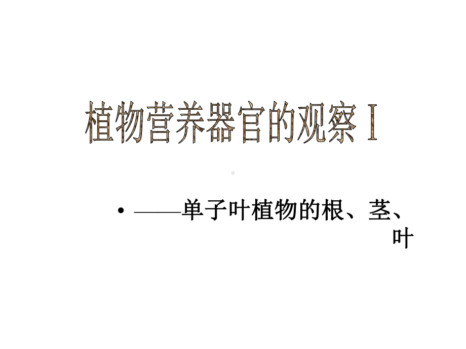 植物营养器官的观察Ⅰ课件.ppt_第1页