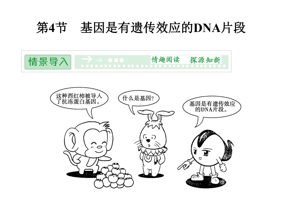 高中生物必修基因是有遗传效应的DNA片段课件.ppt_第1页