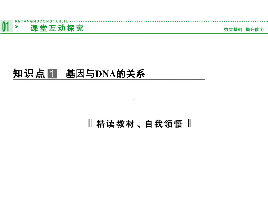 高中生物必修基因是有遗传效应的DNA片段课件.ppt_第3页