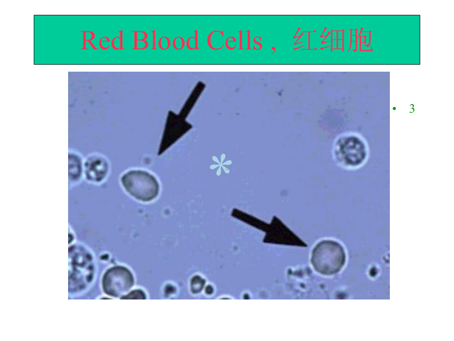 实用临床医学检验形态学之尿沉渣形态学检查图谱.ppt_第3页