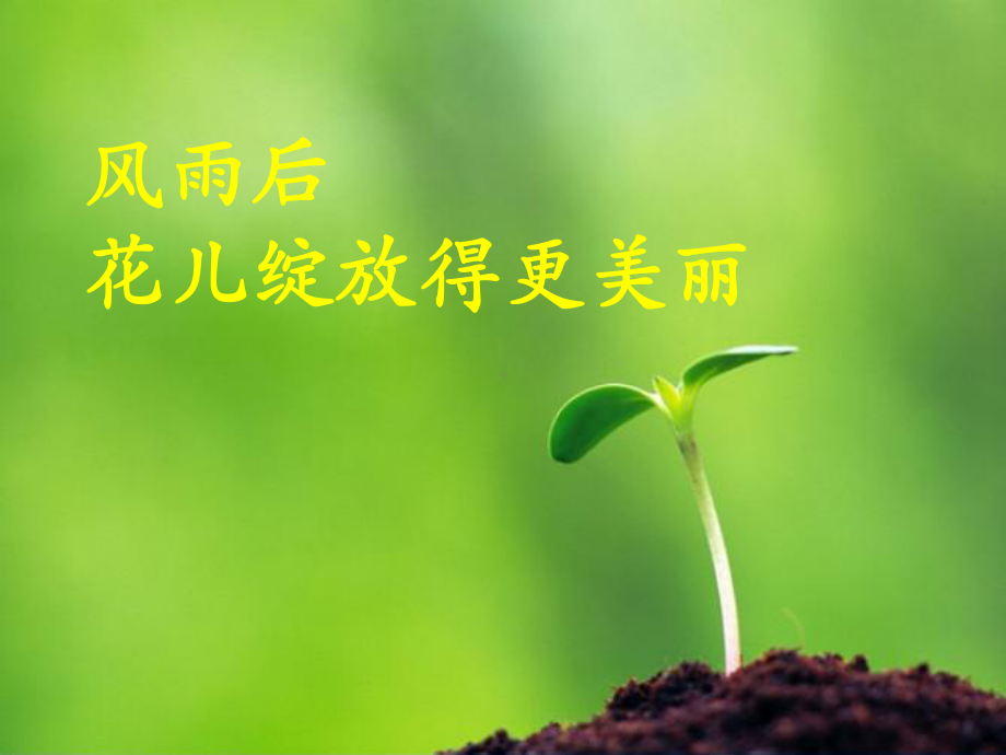 战胜挫折心理健康课件.ppt_第2页