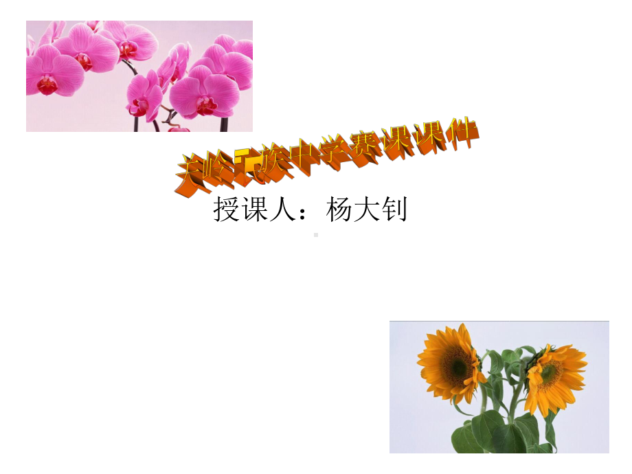 平面向量的坐标运算精选教学课件.ppt_第1页