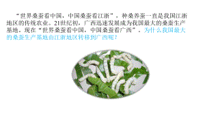 高中地理人教版必修第二册第三章产业区位因素第一节农业区位因素及其变化(第二课时)(21张)课件.pptx