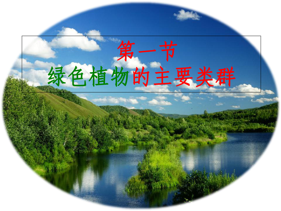 济南版绿色植物的主要类群课件.ppt_第1页