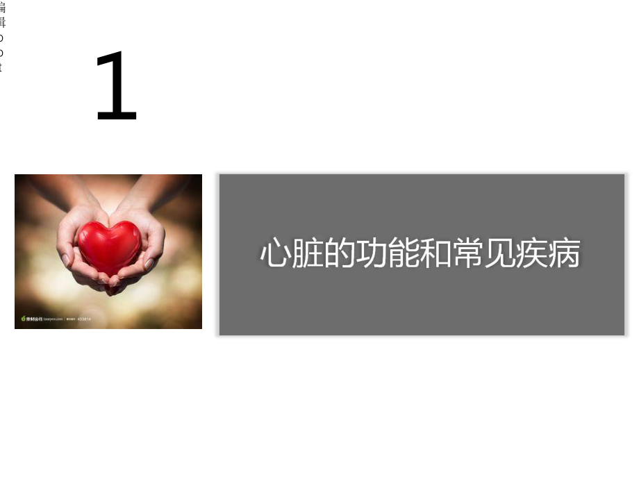 运动营养与健身课件.ppt_第3页