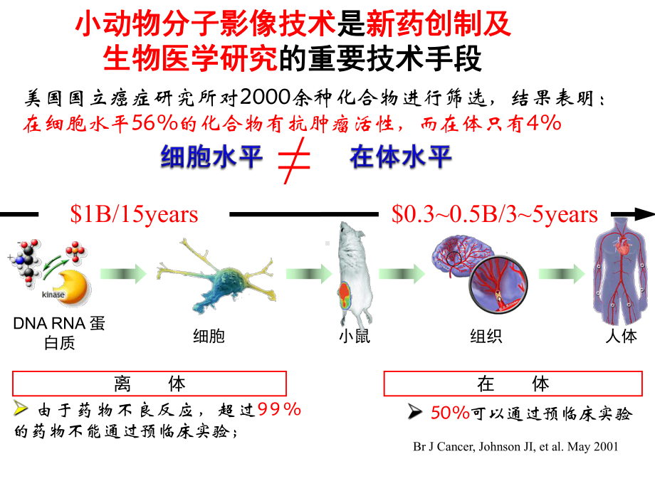 多模态小动物分子医学影像装备项目-动物中心.pptx_第3页