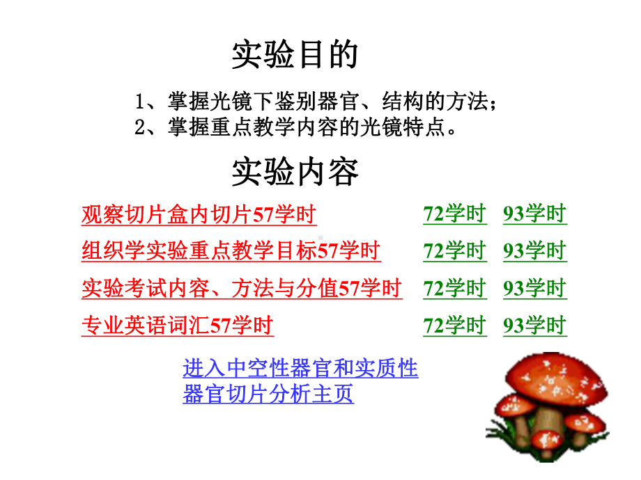 中空性与实质性器官切片分析.ppt_第2页