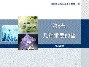 浙教版九年级上册科学《几种重要的盐》第一课时优秀课件.pptx