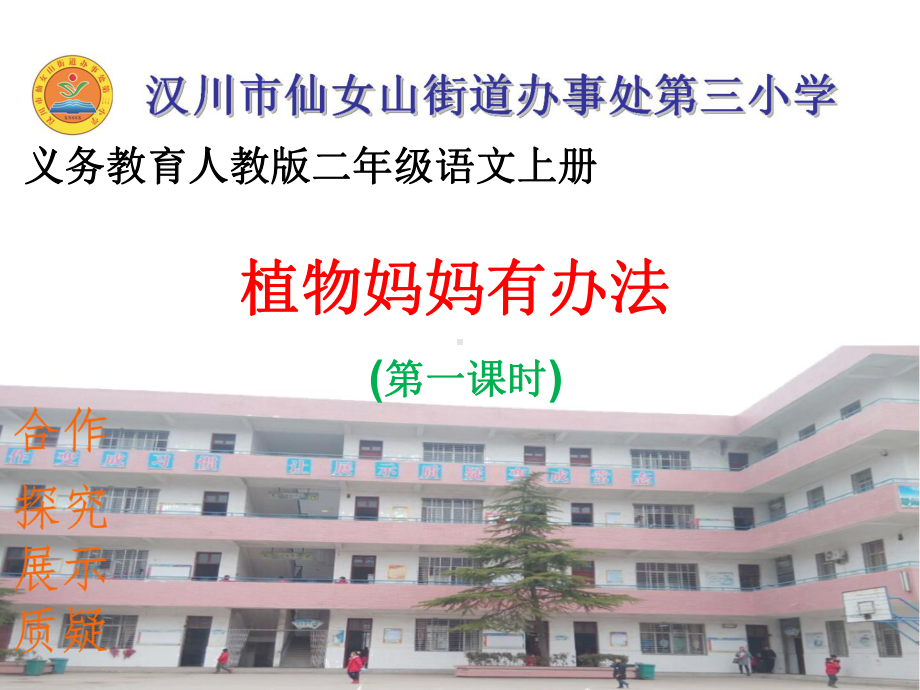 《植物妈妈有办法》PPT.ppt_第2页