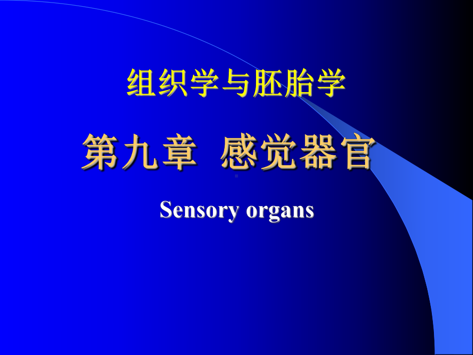 组织与胚胎学-感觉.ppt_第1页