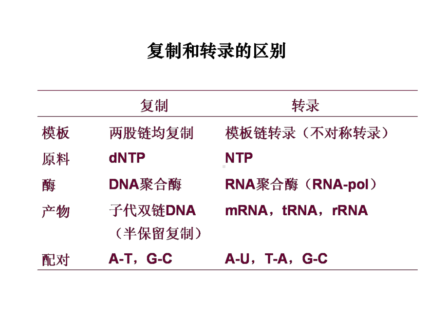 RNA的生物合成11Transcription-课件.ppt_第3页