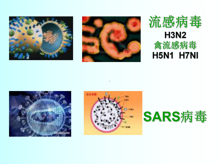 流感预防知识课件.ppt_第3页