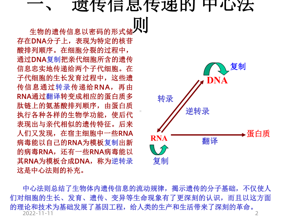 遗传信息传递的中心法则及基因表达课件.ppt_第2页