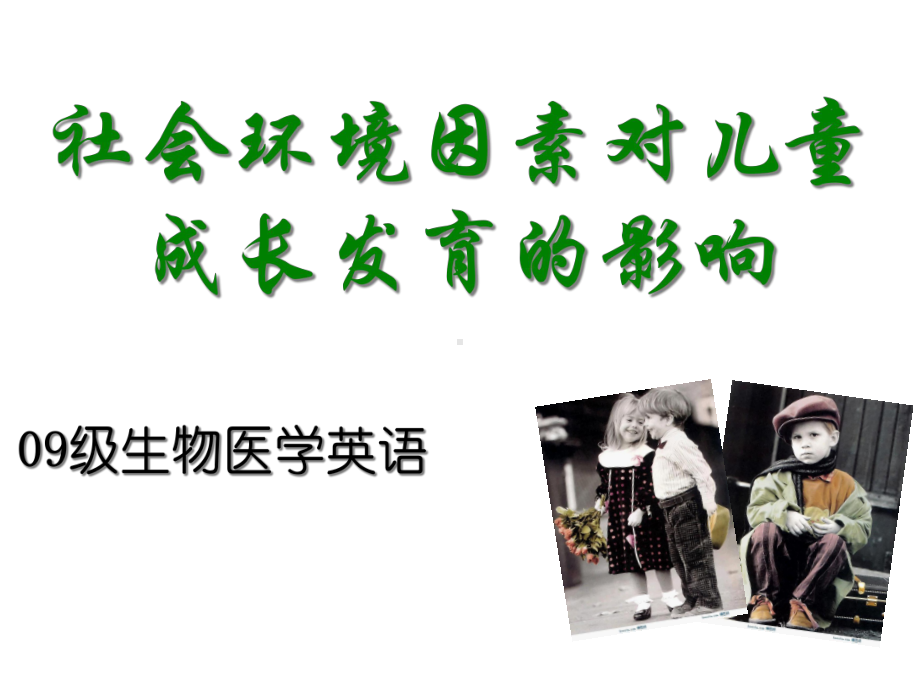 社会环境因素课件.ppt_第1页