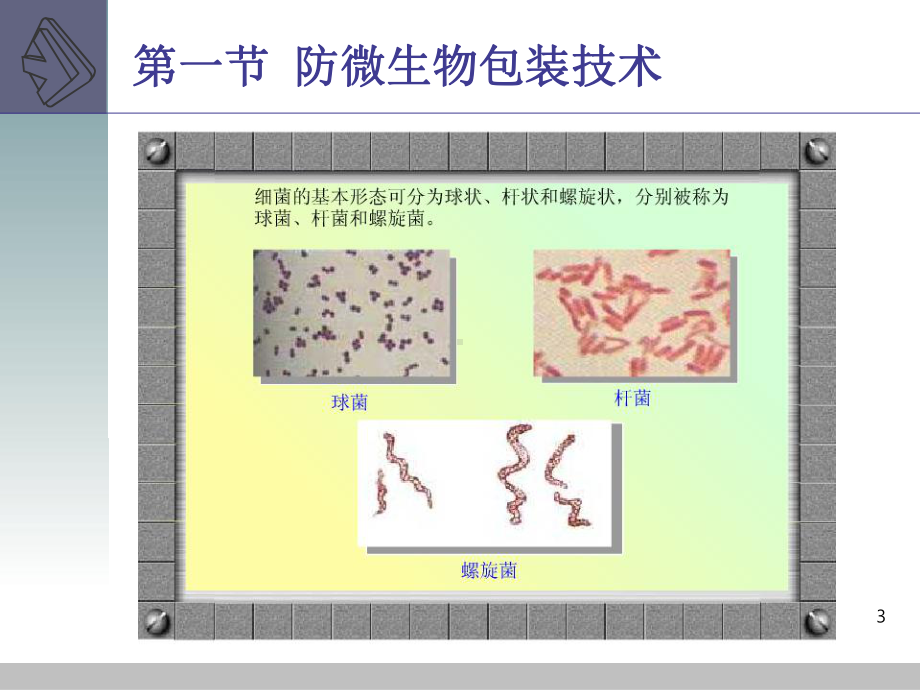 防霉腐包装技术原理课件.ppt_第3页