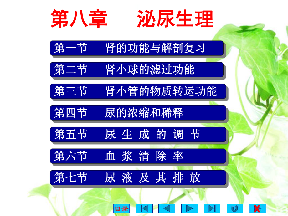 泌尿生理-生理学课件.ppt_第1页