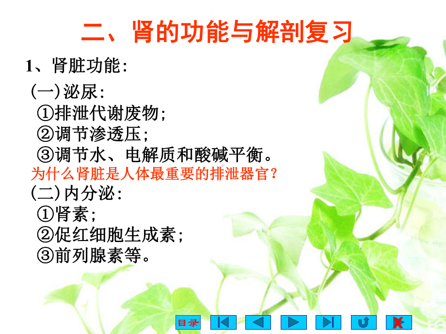 泌尿生理-生理学课件.ppt_第3页