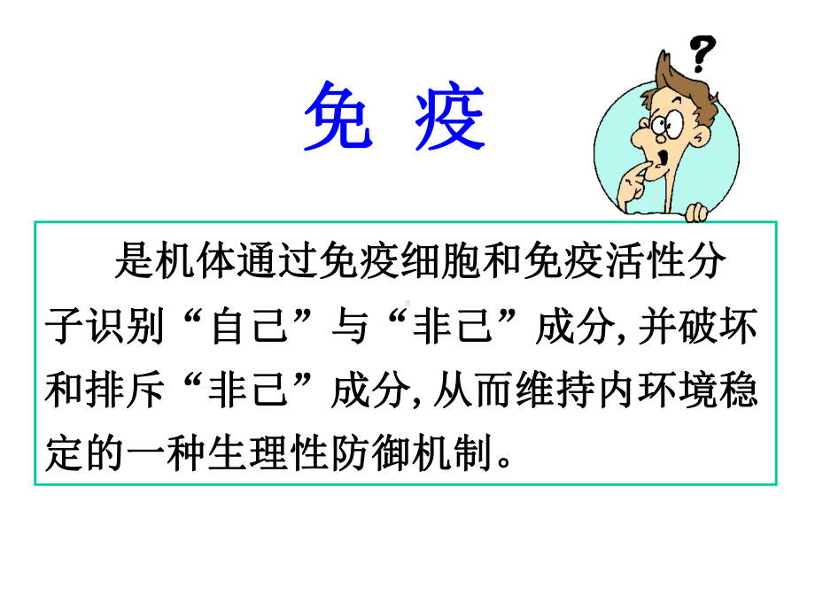 组织胚胎学：免疫系统课件.ppt_第2页