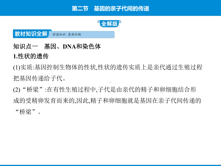 人教版八年级下册生物培优课件-第七单元第二章第二节基因在亲子代间的传递.pptx_第2页