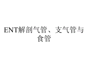 ENT解剖气管、支气管与食管.ppt