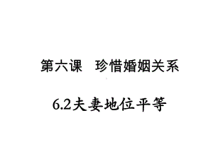 高中政治统编版选择性必修2法律与生活PPT教学课件-6.2夫妻地位平等.pptx