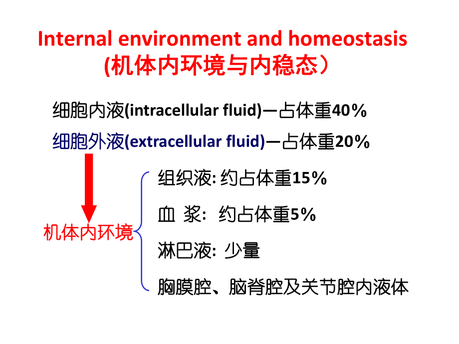 生理学讲义-经典.ppt_第2页