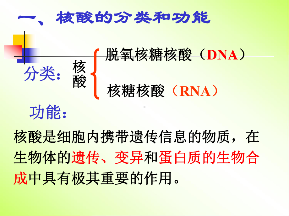 遗传信息携带者-核酸课件.ppt_第3页