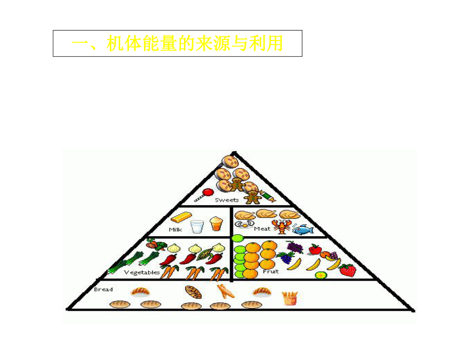 医学生理学能代体温.ppt_第3页