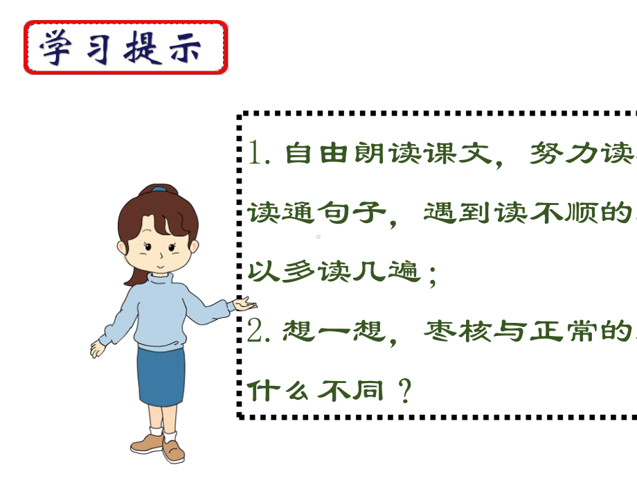 《枣核》优质课件.ppt_第3页