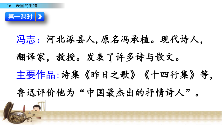 部编版六年级下册语文课件：16表里的生物.pptx_第3页