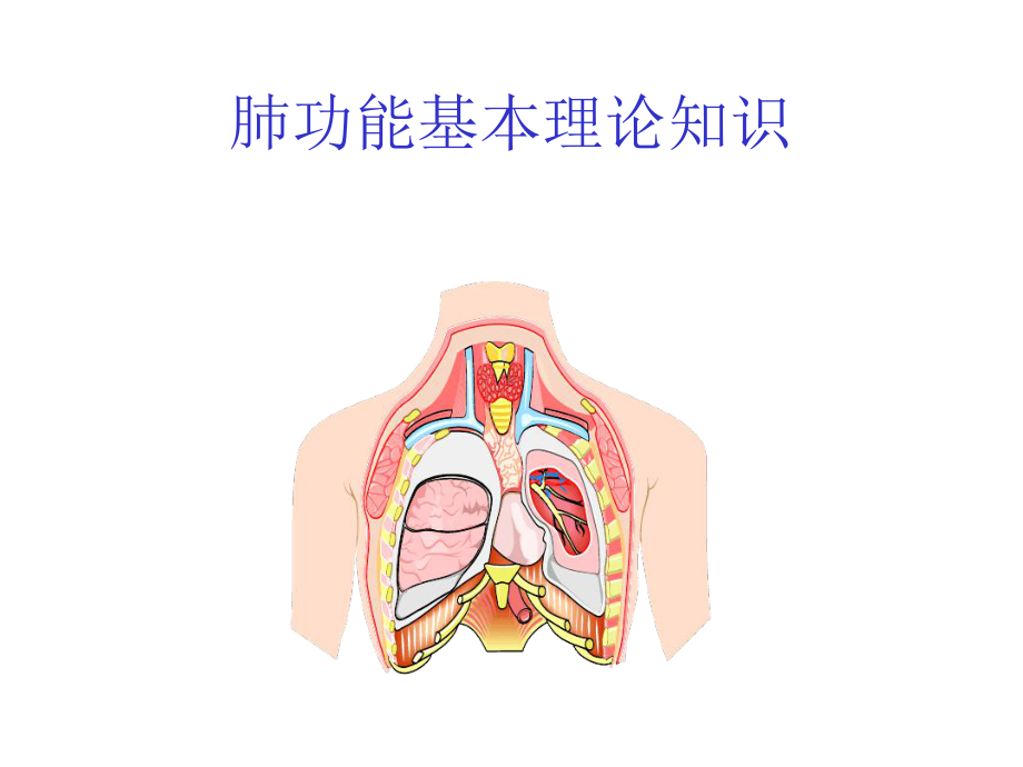 肺功能基础培训课件.ppt_第1页