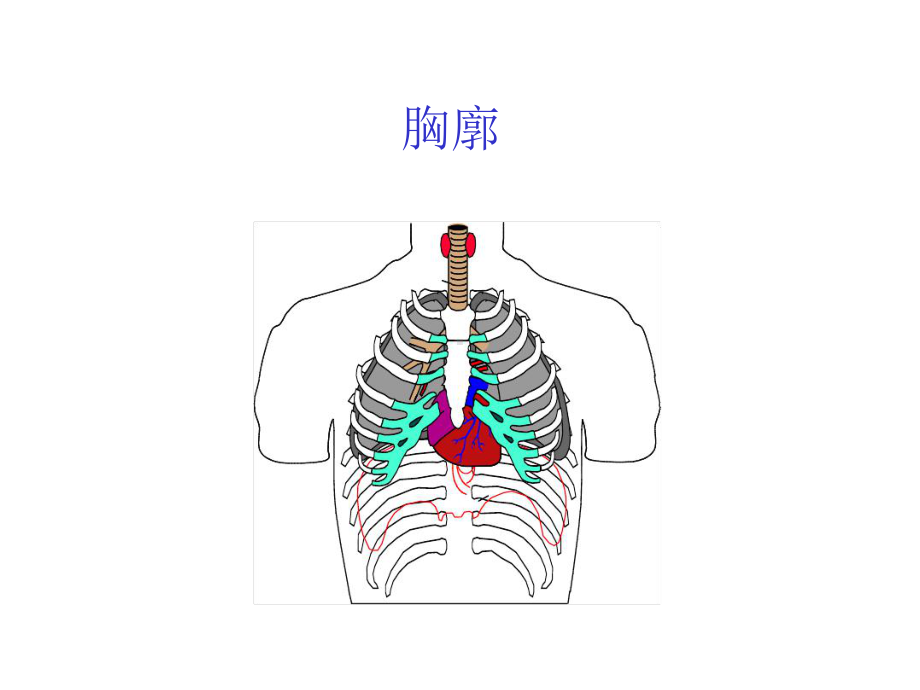 肺功能基础培训课件.ppt_第3页