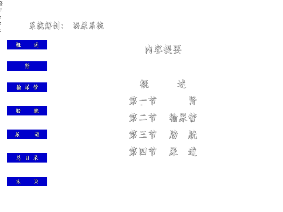 《泌尿系统概述》.ppt_第2页