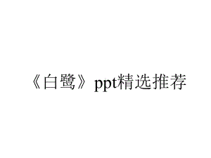 《白鹭》ppt精选推荐.pptx