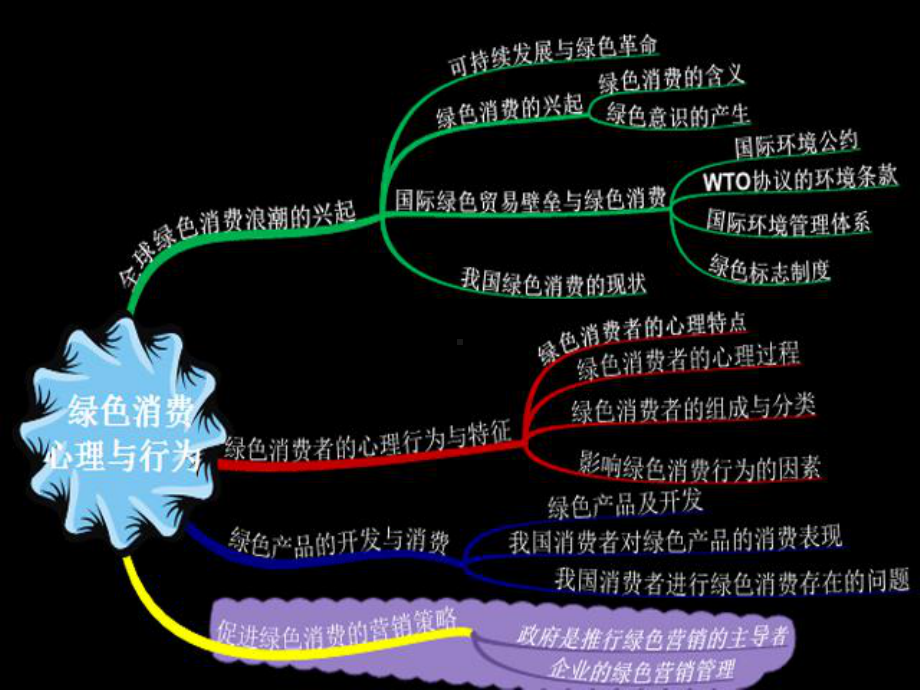 消费者心理学-绿色消费课件.ppt_第3页