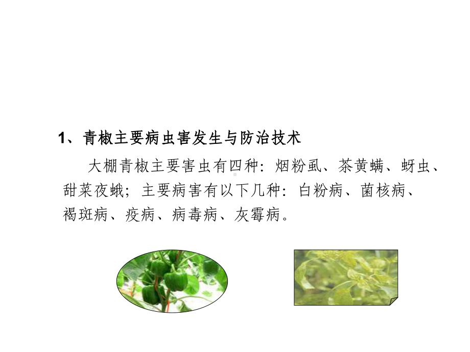 主要蔬菜类病虫草害发生与防治技术.ppt_第3页