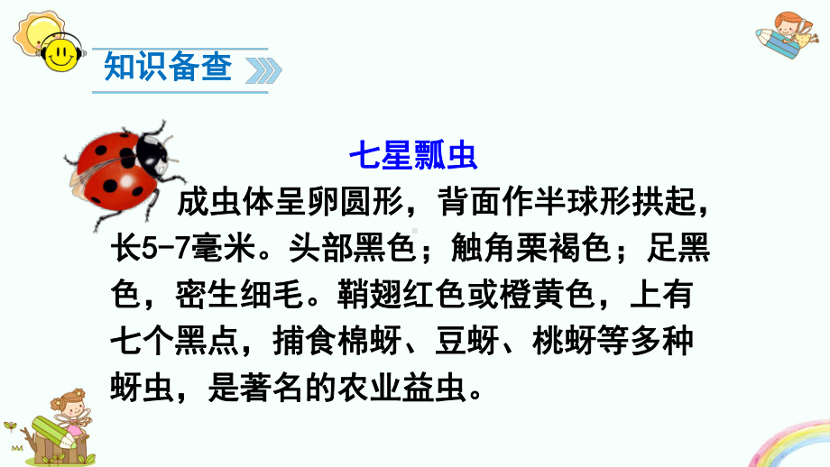 部编版一年级下册语文第八单元全单元课件.pptx_第3页