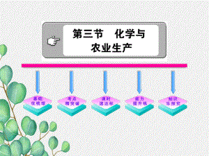 《化学与农业生产》课件(公开课)2022年鲁教版化学.ppt