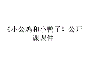 《小公鸡和小鸭子》公开课课件.pptx