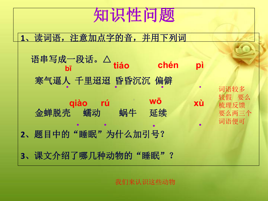 《动物的睡眠》课件.ppt_第2页