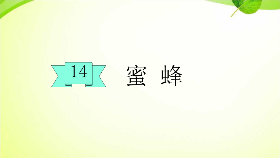 部编版三下语文14蜜蜂课件.ppt_第1页