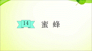 部编版三下语文14蜜蜂课件.ppt