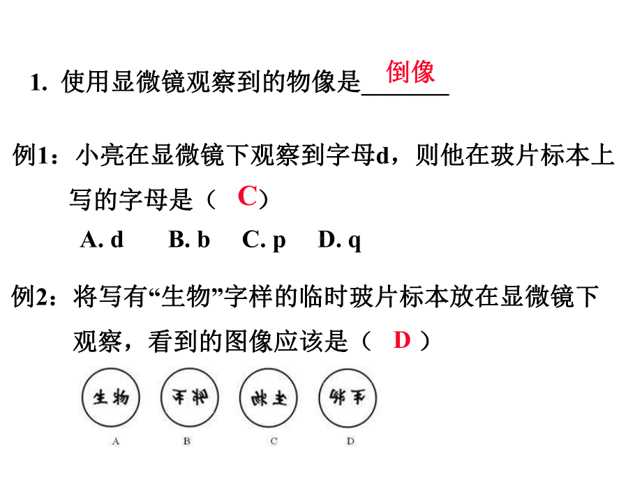 中考生物复习：主题一科学探究(共25张).ppt_第3页